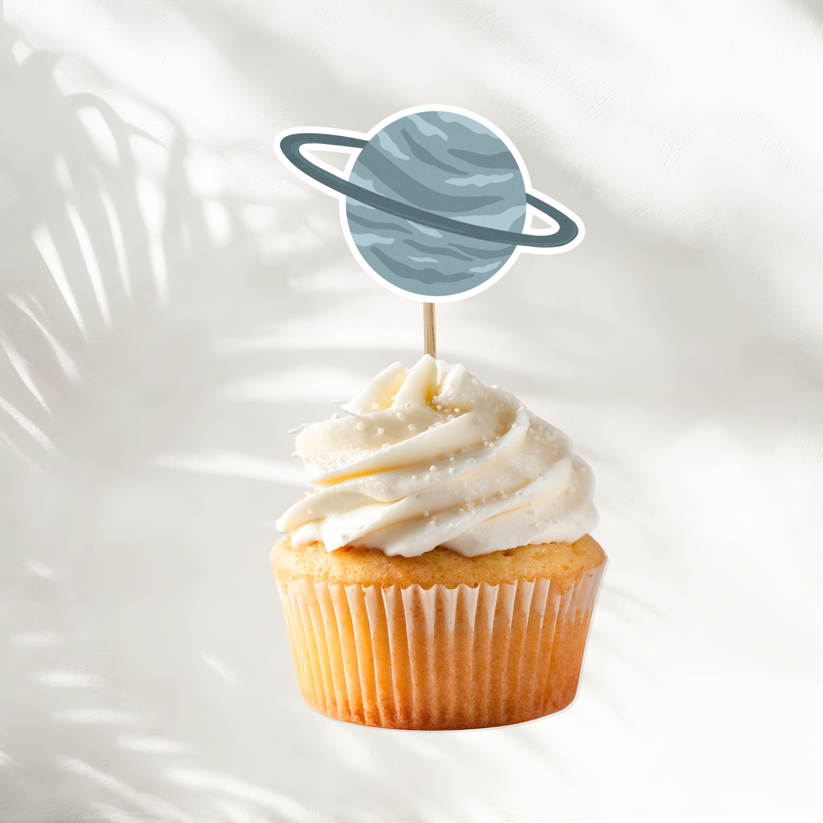 Space Cake Toppers
