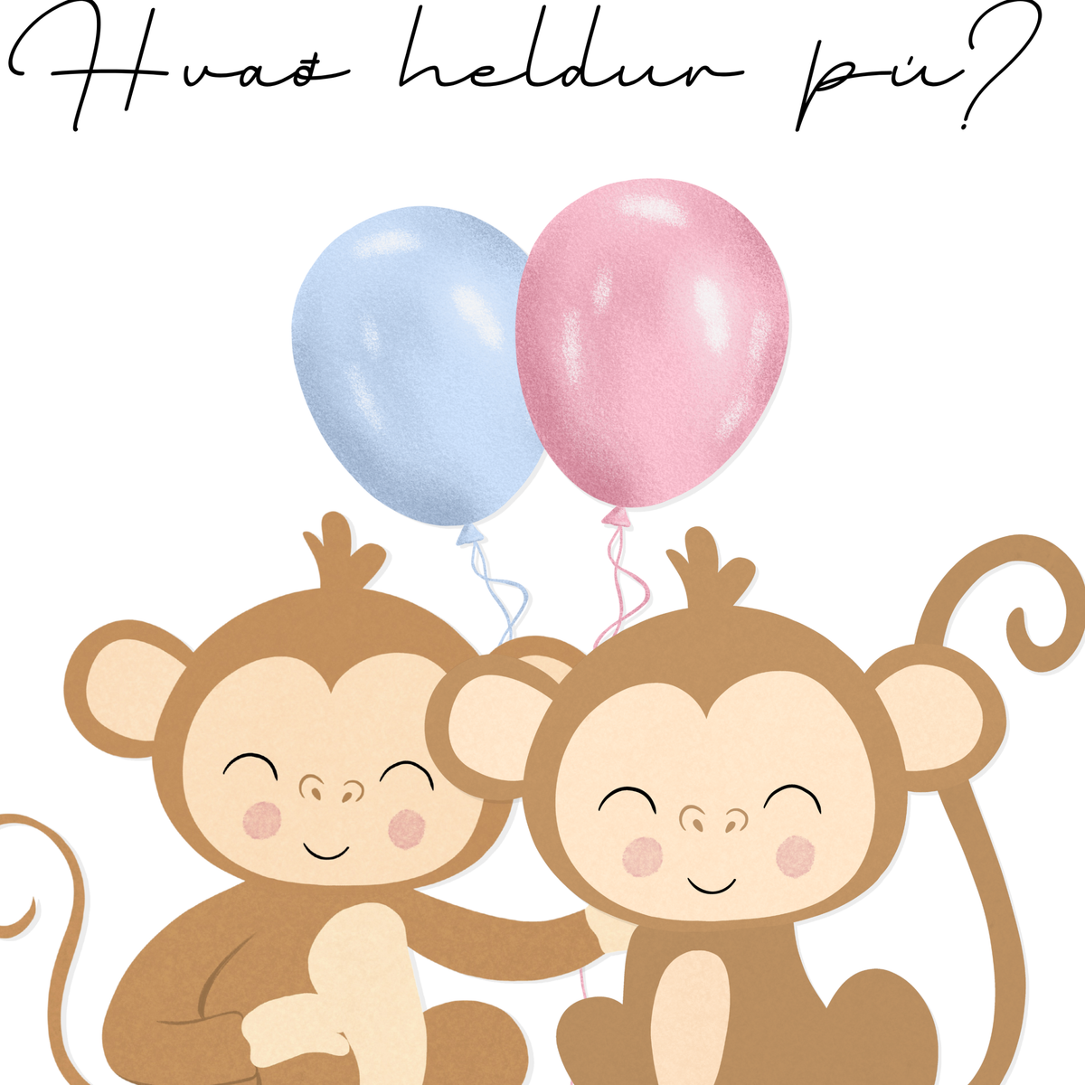Monkey Guess The Gender | Blue and Pink Balloons