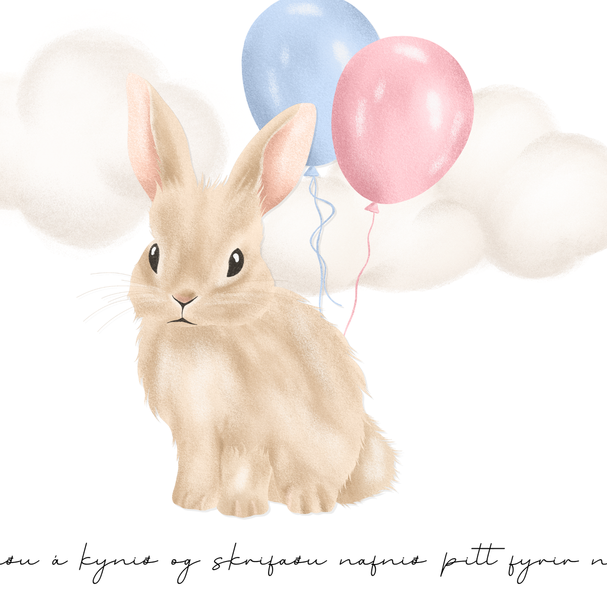 Bunny Guess The Gender Sign