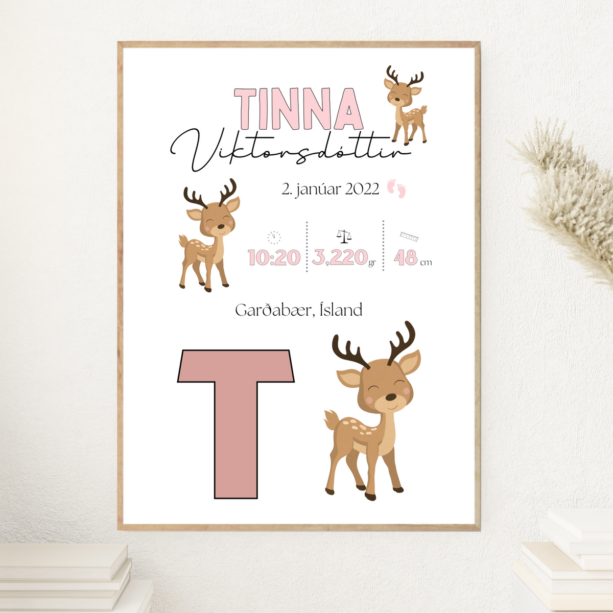 Bambi Fæðingarupplýsingar | Bleikur