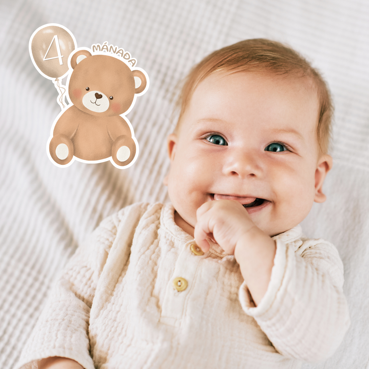 Bears Beige Balloon Monthly Cards