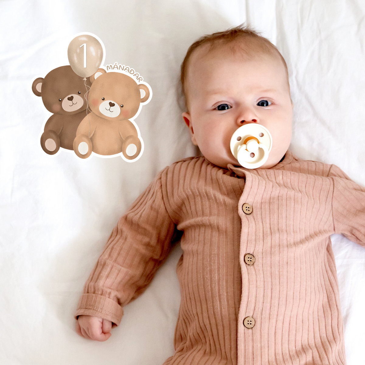Bears Beige Balloon Monthly Cards